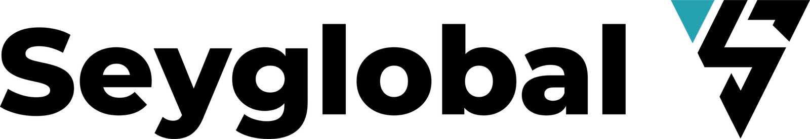 seyglobal.com